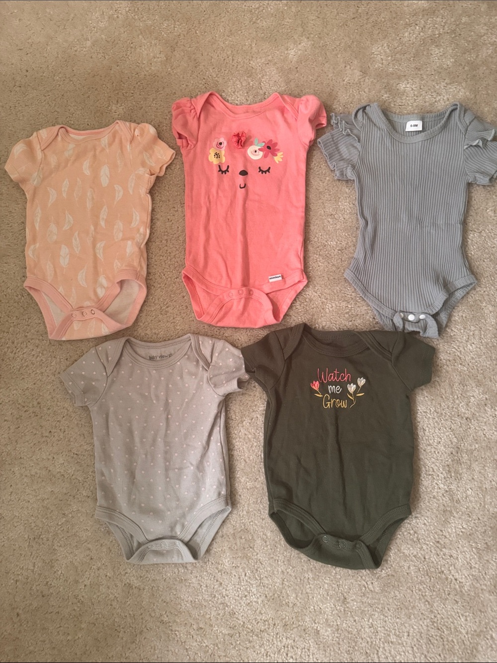 Baby Girl 6-9 months Onesie Bundle
